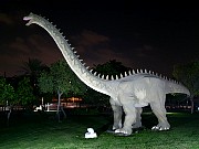 401  Dinosaur Park.jpg
